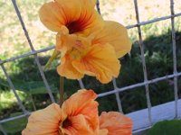 photos 2000-200902727